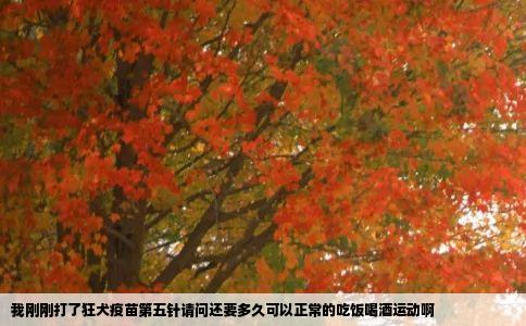 我刚刚打了狂犬疫苗第五针请问还要多久可以正常的吃饭喝酒运动啊