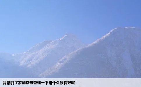 我刚开了家酒店想管理一下用什么软件好呢