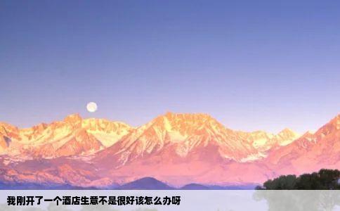 我刚开了一个酒店生意不是很好该怎么办呀