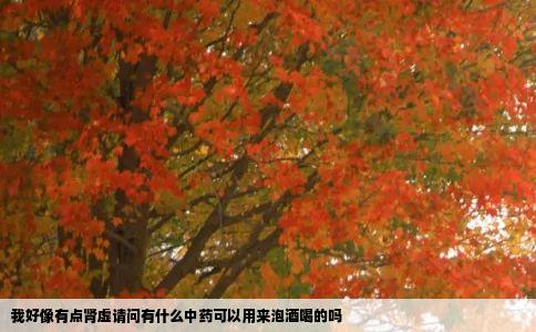 我好像有点肾虚请问有什么中药可以用来泡酒喝的吗