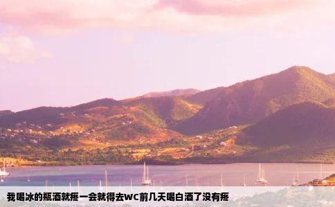 我喝冰的瓶酒就疼一会就得去WC前几天喝白酒了没有疼