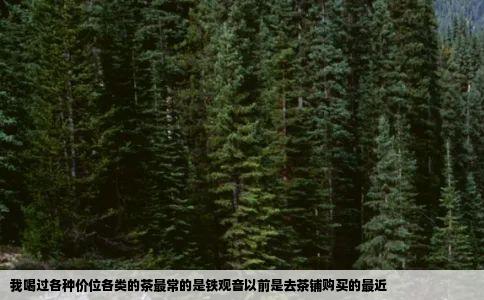 我喝过各种价位各类的茶最常的是铁观音以前是去茶铺购买的最近