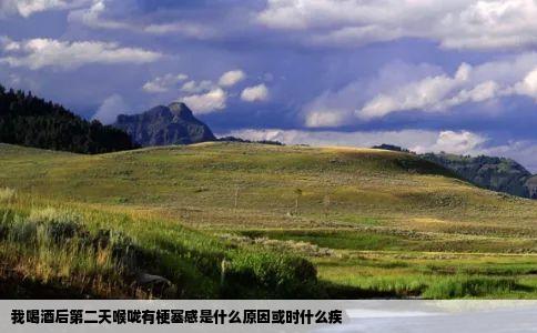 我喝酒后第二天喉咙有梗塞感是什么原因或时什么疾