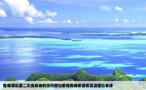 我喝酒后第二天摸身体的任何部位都有疼痛感很明显请哪位老师