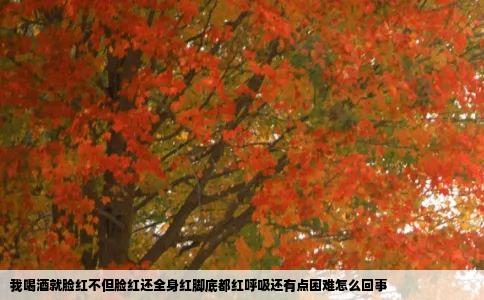 我喝酒就脸红不但脸红还全身红脚底都红呼吸还有点困难怎么回事