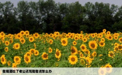 我喝酒吐了老公还骂我我该怎么办