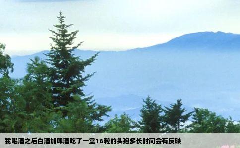 我喝酒之后白酒加啤酒吃了一盒16粒的头孢多长时间会有反映