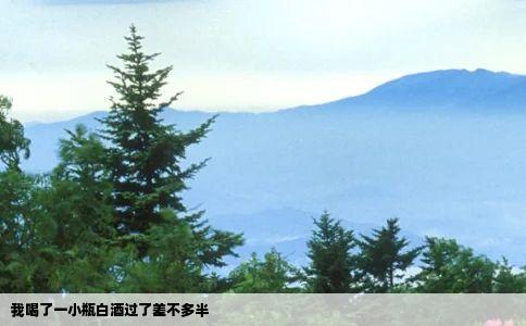 我喝了一小瓶白酒过了差不多半