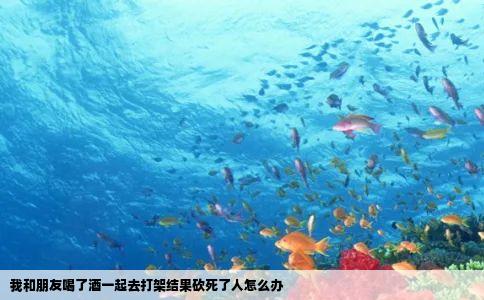 我和朋友喝了酒一起去打架结果砍死了人怎么办