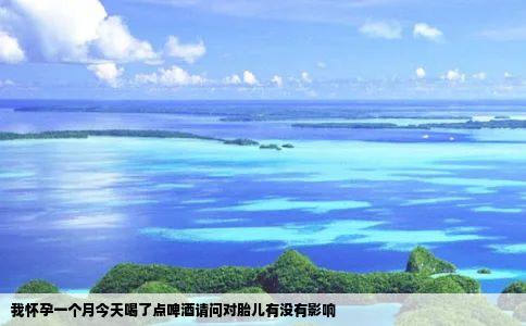 我怀孕一个月今天喝了点啤酒请问对胎儿有没有影响