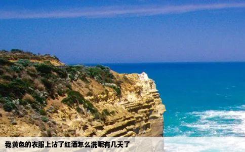 我黄色的衣服上沾了红酒怎么洗呢有几天了