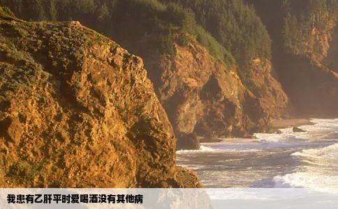 我患有乙肝平时爱喝酒没有其他病