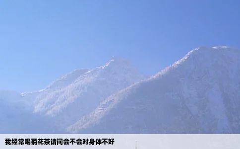 我经常喝菊花茶请问会不会对身体不好