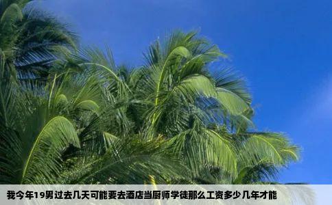 我今年19男过去几天可能要去酒店当厨师学徒那么工资多少几年才能