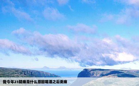 我今年23腿痛是什么原因喝酒之后更痛
