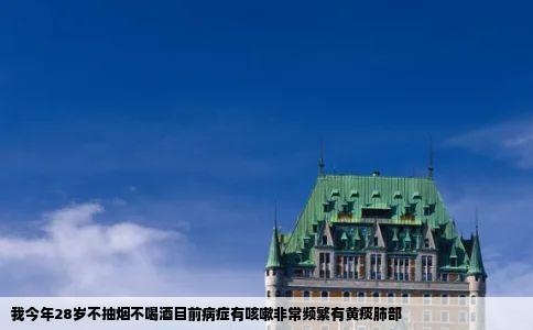 我今年28岁不抽烟不喝酒目前病症有咳嗽非常频繁有黄痰肺部