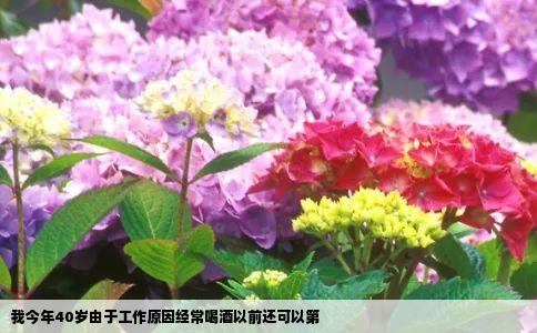 我今年40岁由于工作原因经常喝酒以前还可以第