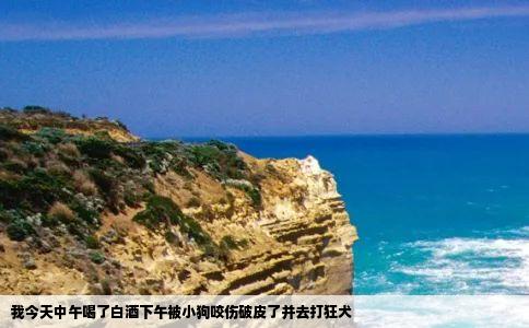 我今天中午喝了白酒下午被小狗咬伤破皮了并去打狂犬