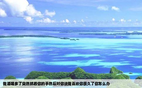 我酒喝多了突然抓着你的手然后对你说我喜欢你很久了你怎么办