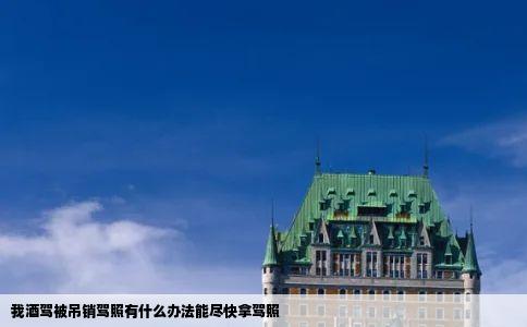 我酒驾被吊销驾照有什么办法能尽快拿驾照