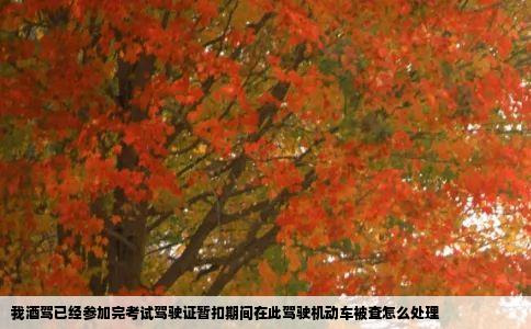 我酒驾已经参加完考试驾驶证暂扣期间在此驾驶机动车被查怎么处理