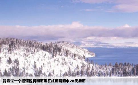 我看过一个报道说将圆葱泡在红葡萄酒中28天后葱