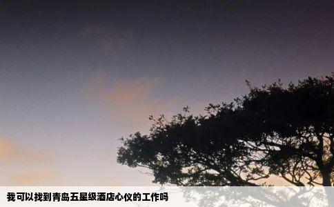 我可以找到青岛五星级酒店心仪的工作吗