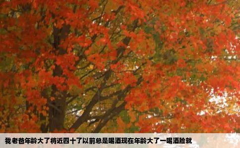 我老爸年龄大了将近四十了以前总是喝酒现在年龄大了一喝酒脸就