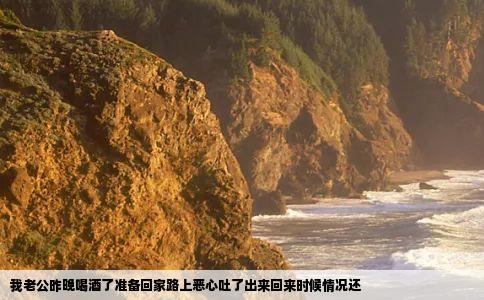 我老公昨晚喝酒了准备回家路上恶心吐了出来回来时候情况还