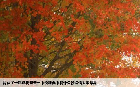 我买了一瓶酒我想查一下价钱要下载什么软件请大家帮我