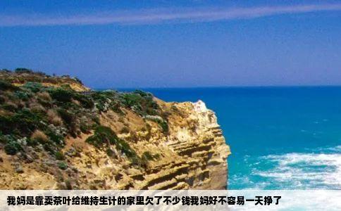 我妈是靠卖茶叶给维持生计的家里欠了不少钱我妈好不容易一天挣了