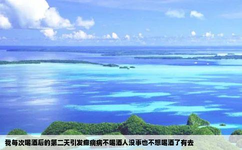 我每次喝酒后的第二天引发癫痫病不喝酒人没事也不想喝酒了有去