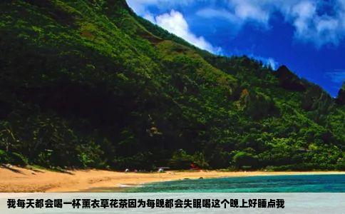 我每天都会喝一杯薰衣草花茶因为每晚都会失眠喝这个晚上好睡点我
