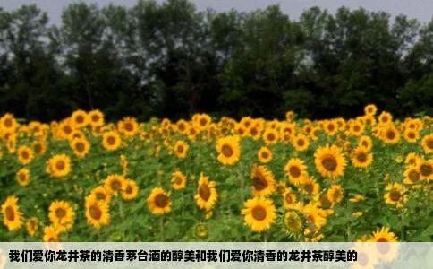 我们爱你龙井茶的清香茅台酒的醇美和我们爱你清香的龙井茶醇美的