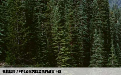 我们结婚了利特酒窝夫妇全集的迅雷下载