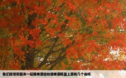 我们经常和朋友一起喝啤酒你知道啤酒瓶盖上面有几个齿吗