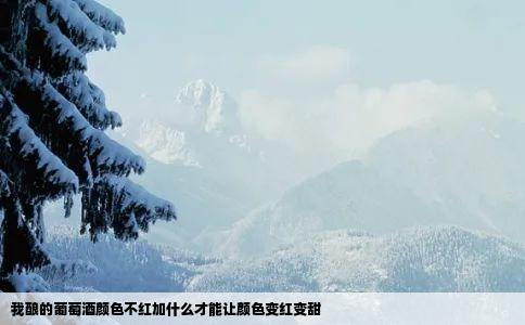 我酿的葡萄酒颜色不红加什么才能让颜色变红变甜