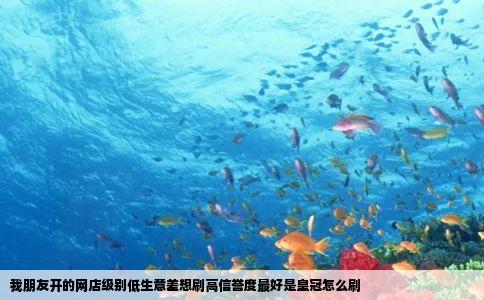 我朋友开的网店级别低生意差想刷高信誉度最好是皇冠怎么刷