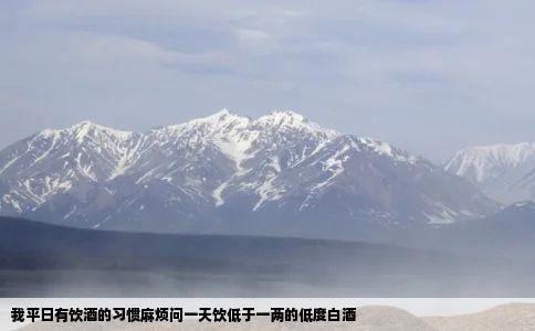 我平日有饮酒的习惯麻烦问一天饮低于一两的低度白酒