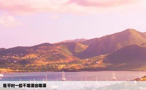 我平时一般不喝酒会喝酒