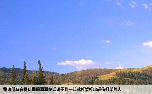 我请朋友在我店里喝酒酒多话说不到一起就打架打出轻伤打架的人