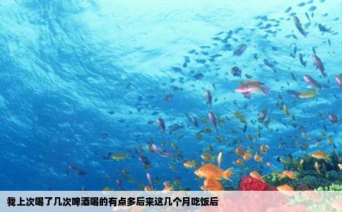 我上次喝了几次啤酒喝的有点多后来这几个月吃饭后