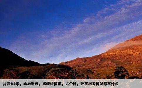 我是b2本。酒后驾驶。驾驶证被扣。六个月。还学习考试吗都学什么