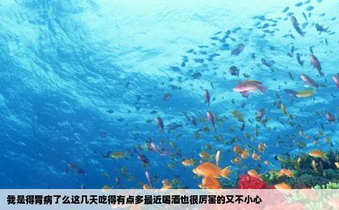 我是得胃病了么这几天吃得有点多最近喝酒也很厉害的又不小心