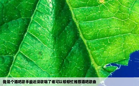 我是个酒吧歌手最近没歌唱了谁可以帮帮忙推荐酒吧歌曲