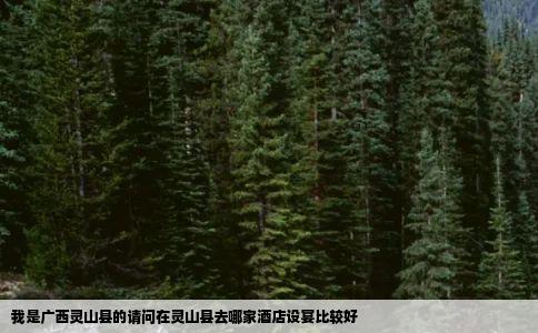 我是广西灵山县的请问在灵山县去哪家酒店设宴比较好