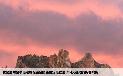 我是酒驾肇事逃逸现在坚定报告确定是饮酒请问交强险能赔偿吗赔