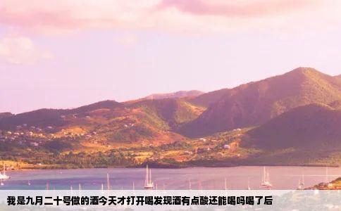 我是九月二十号做的酒今天才打开喝发现酒有点酸还能喝吗喝了后