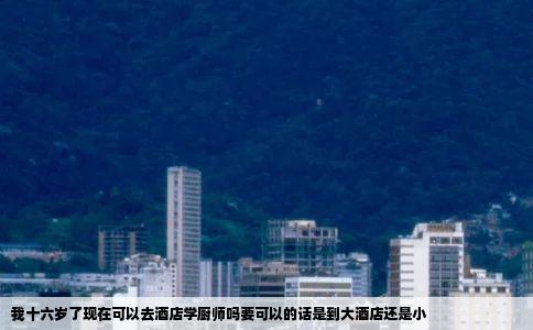 我十六岁了现在可以去酒店学厨师吗要可以的话是到大酒店还是小