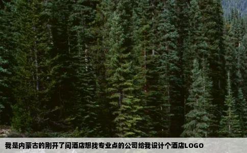 我是内蒙古的刚开了间酒店想找专业点的公司给我设计个酒店LOGO
